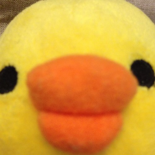ペロペロ