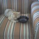 daniel mcgonagle - @djmcgonaglejr - Twitter