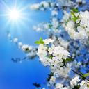 Ji Yeon Chae - @chaejy94 - Twitter