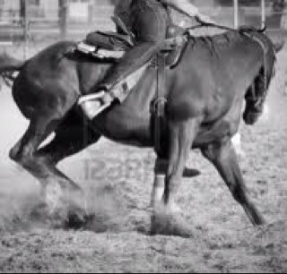 SouthernSass15's profile picture. Boots, Class, And A Lil Sass! That's What Cowgirls Are Made Of! ;) #BabyAnon #FollowMe