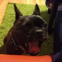 Buster Douglas - @douglas_buster - Twitter