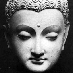 AlexandraFasje's profile picture. Maakt sieraden, fotografeert, zingt, kookt met passie, houdt van de natuur en is een grote dierenvriend.