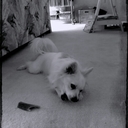 Blake Hewitt - @Blakey5126 - Twitter