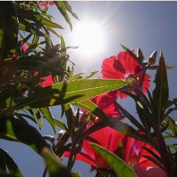 YONIAKIRA's profile picture. しがないオタリーマンです。ゲーム好き。