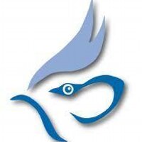 The SOC (@scottishbirding) 's Twitter Profile