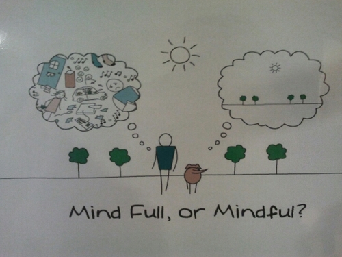 FerronGFG's profile picture. Mira y aprende