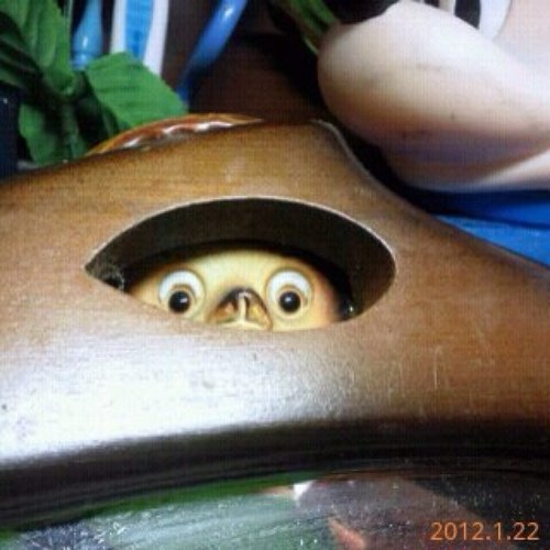 aoilo15's profile picture. Twitterもインプットの為！を、モットーに日々何かしら感じたものを記録しておくものとして主に活用中。舞台(なまもの)/映画(映像)/本(言語)/絵画(瞬間)/写真(現像)/音楽(聴覚)/建築(空間)/造形(物体)/料理(味•匂)等、この世その世あの世どの世の様々な情報を集めております。よろしくお願いいたします。