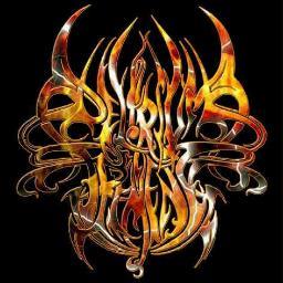 Grindcore band since 1996