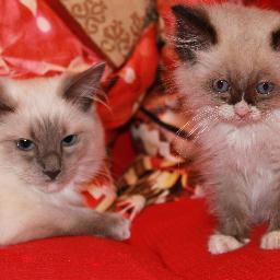 WSMOTHER's profile picture. 