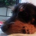 Rene Graf - @renegraf - Twitter