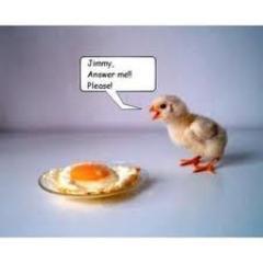 the weird game of chicken and mouse