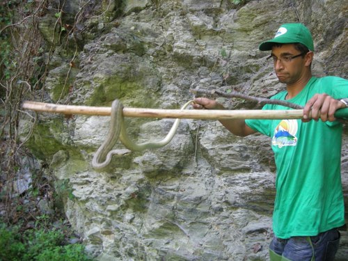 danieleveltri1's profile picture. Laureato in scienze naturali. Presidente dell'associazione ambientalista Living Nature che si occupa di escursionismo ed attività di educazione ambientale