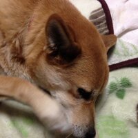 名無し (@nanashi2013) 's Twitter Profile