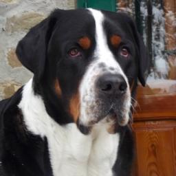 knucklehead1313's profile picture. 