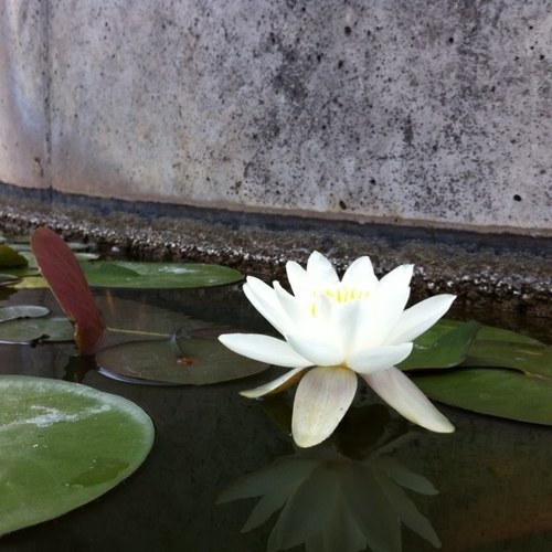 AngeBatch's profile picture. 