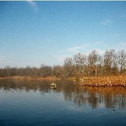 ohio_heart06's profile picture. i am selling stuff on ebay to get money for my wedding in August.  I am also selling stuff on Lista thru Facebook for credits towards a honeymoon