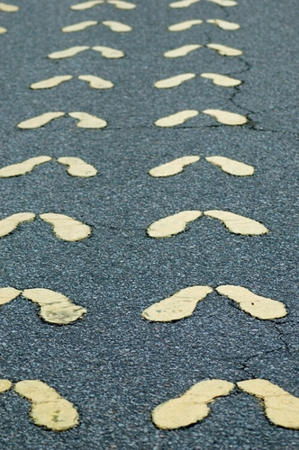 512pusher's profile picture. Husband of a goddess, father, grandfather. Pharmacist. Living the dream.