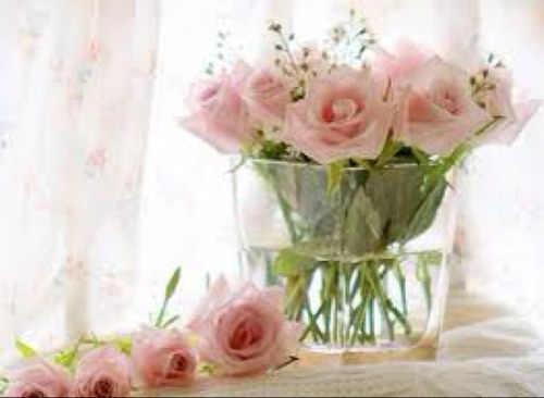 reem_alquifli Profile Picture