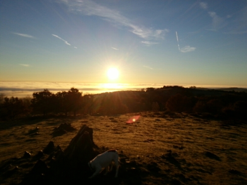 howdenr1's profile picture. 