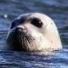 鹿児島/東京/フリーランス/システムエンジニア/プログラマー/ダーツ/プロレス観戦/ジグソーパズル ツイートは趣味6割、仕事4割な感じです。