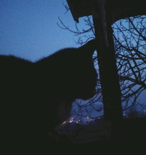 bbuniai's profile picture. On my Own