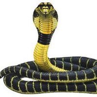 cobra compliance (@cobracompliance) Twitter profile photo