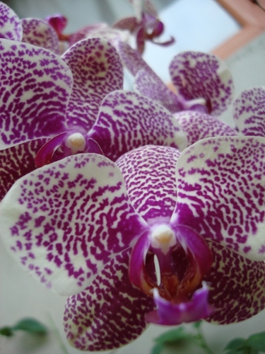 Vero24041's profile picture. 