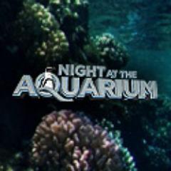 PenguinsAtNight's profile picture. 