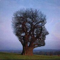 Luca P (@lucapuglielli) 's Twitter Profile