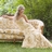 ElegantBoutique's profile image
