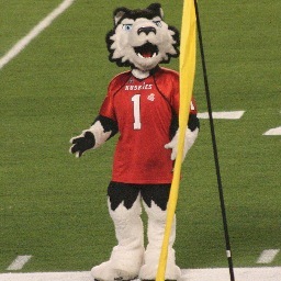 Proud To Be A Huskie Football Fan