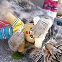 Robyn Masters - @mastrj9 - Twitter