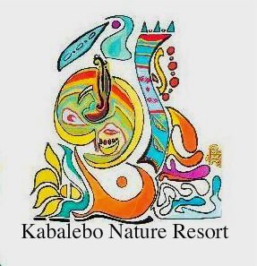Kabalebo Nature Resort is in the midst of the Amazon jungle and offers you an experience of a lifetime.