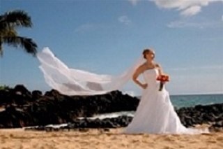 BlueOceanWeddin's profile picture. #Maui Destination Wedding Planner