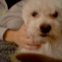 Deborah Lea James - @deborahleajames - Twitter