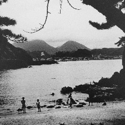 akira_sea's profile picture. 