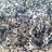 NancyPitcairn's profile image