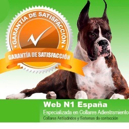 collaradiestram's profile picture. Pagina web dedicada desde el 2009 a la venta de collares de adiestramiento y anti ladridos .Disponemos de mas de 10.000 Productos para nuestros perros