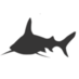 Shark Baselines (@sharkbaselines) Twitter profile photo Shark Baselines (@sharkbaselines) Twitter profile photo