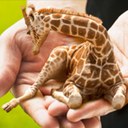 John Corr - @corrjohn - Twitter