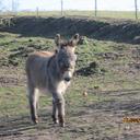 ulla madsen - @ullamadsen2 - Twitter