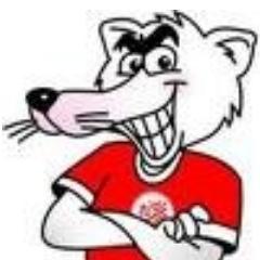 UMA FAMÍLIA DE TORCEDORES DO NÁUTICO FORMANDO MAIS UMA TORCIDA UNIFORMIZADA.
http://t.co/luBspLJ8