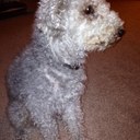 Janet Payne - @J16Janet - Twitter