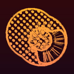 PhaedraMedia's profile picture. what I see inside of me