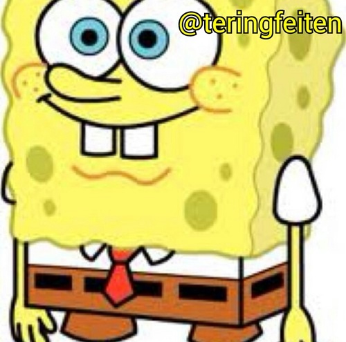 wil je leuke tweets in je TL? volg dan nu @teringfeiten!