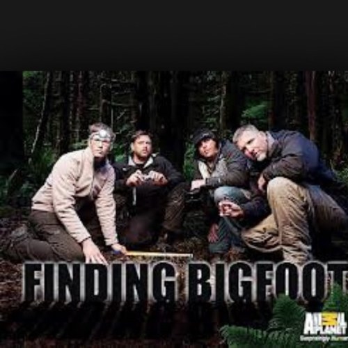 No way associated with Finding Bigfoot. Just a group determined to show everyone how real Bigfoot is. #FindingBigfoot #IdRatherBeSquatchin