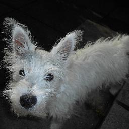 rawww1234's profile picture. 