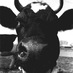 yeah but (@jonthebeef) Twitter profile photo