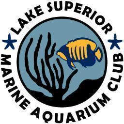 The Twitter Feed for the Lake Superior Marine Aquarium Club, serving Duluth, MN, Superior, WI, and the surrounding Twin-Ports / Northland region.