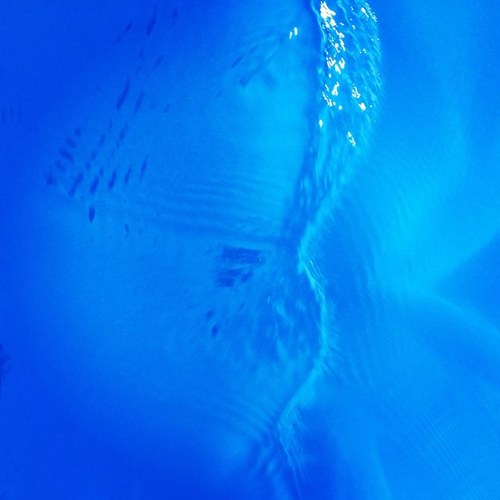 cartera_10491's profile picture. 